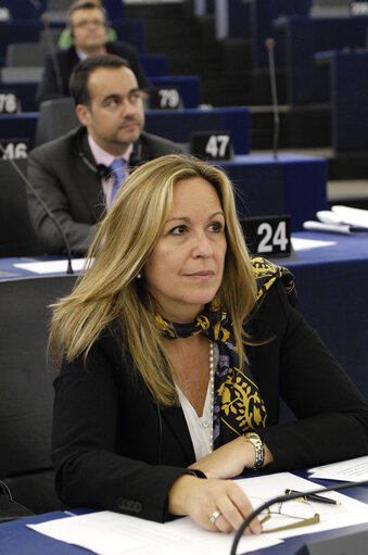 Photo 7 : Jimenez Garcia-Herrera in the hemicycle