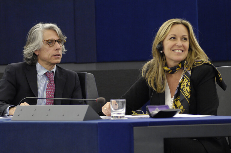 Photo 10 : Jimenez Garcia-Herrera in the hemicycle