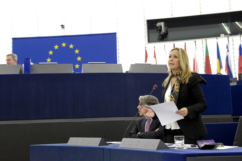 Photo 5 : Jimenez Garcia-Herrera in the hemicycle