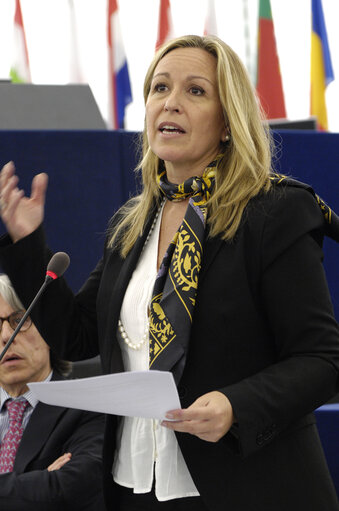 Photo 6 : Jimenez Garcia-Herrera in the hemicycle