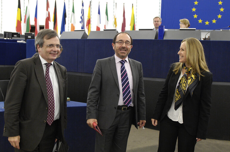 Photo 2 : Jimenez Garcia-Herrera in the hemicycle