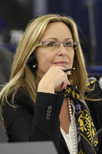 Photo 9 : Jimenez Garcia-Herrera in the hemicycle