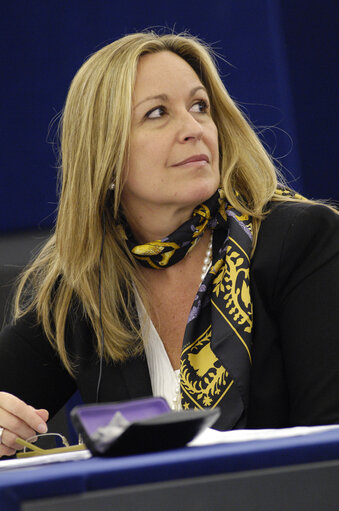 Photo 13 : Jimenez Garcia-Herrera in the hemicycle