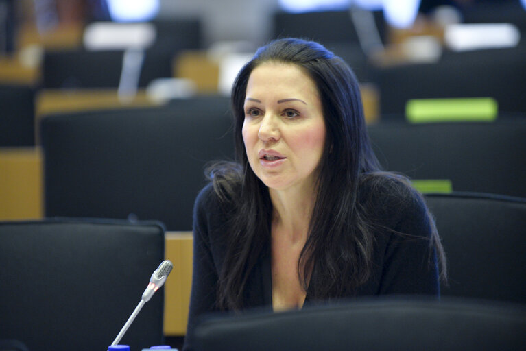 Foto 1: EYE hearing in ITRE Committee meeting