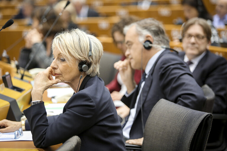 Billede 26: Plenary session week 05 2015 in Brussels - Council and Commission statements