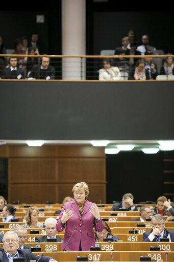 Billede 13: Plenary session week 05 2015 in Brussels - Council and Commission statements