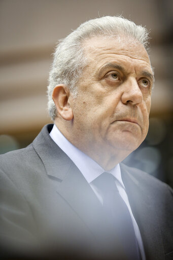 Billede 15: Plenary session week 05 2015 in Brussels - Council and Commission statements