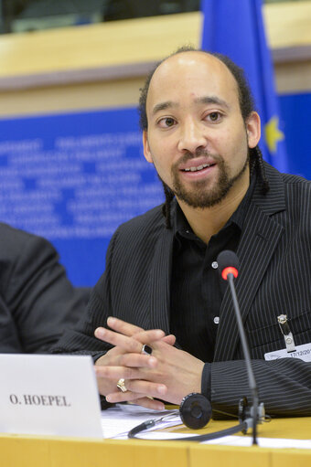 Fotografia 17: EYE hearing in LIBE Committee Meeting