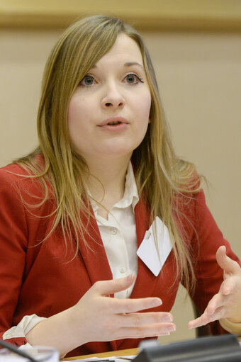 Fotografia 15: EYE hearing in LIBE Committee Meeting