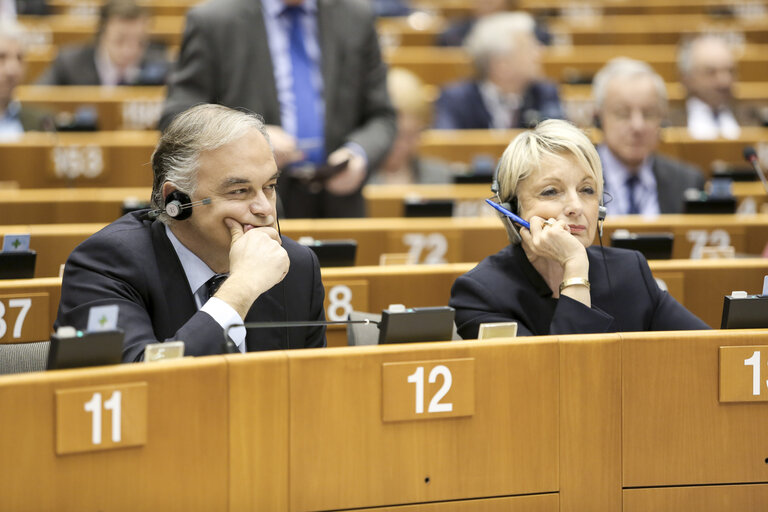 Billede 38: Plenary session week 05 2015 in Brussels - Council and Commission statements