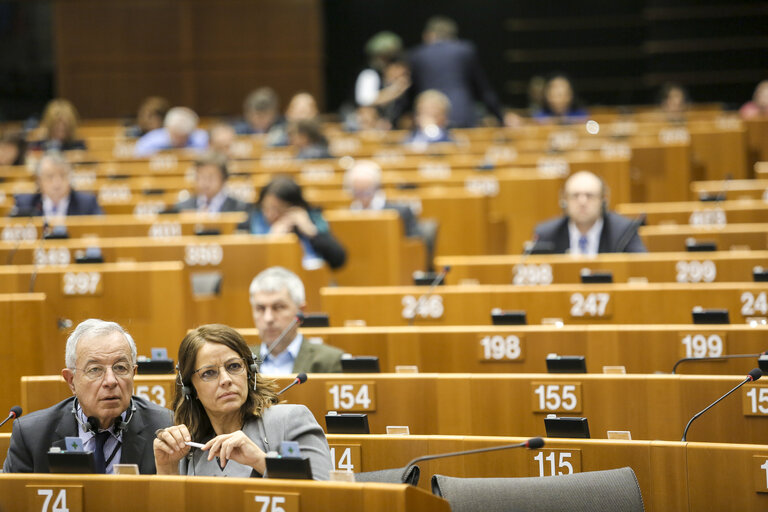 Billede 19: Plenary session week 05 2015 in Brussels - Council and Commission statements