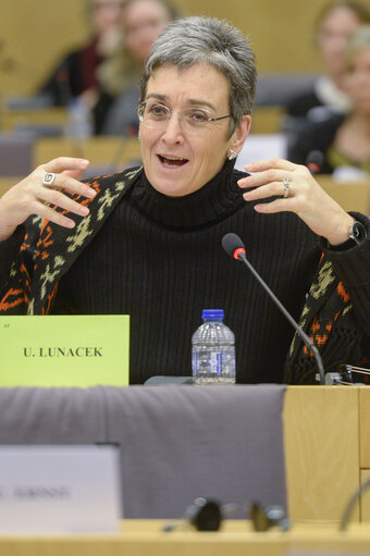 Fotografia 9: EYE hearing in LIBE Committee Meeting