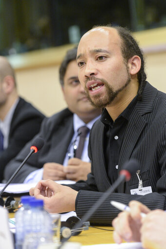 Fotografia 6: EYE hearing in LIBE Committee Meeting