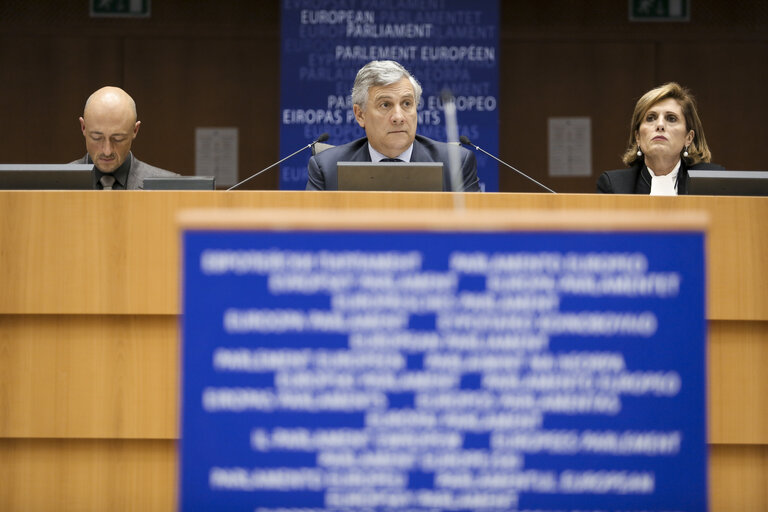 Billede 10: Plenary session week 05 2015 in Brussels - Council and Commission statements