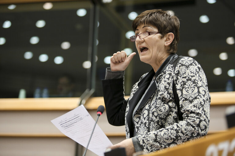 Billede 3: Plenary session week 05 2015 in Brussels - Council and Commission statements