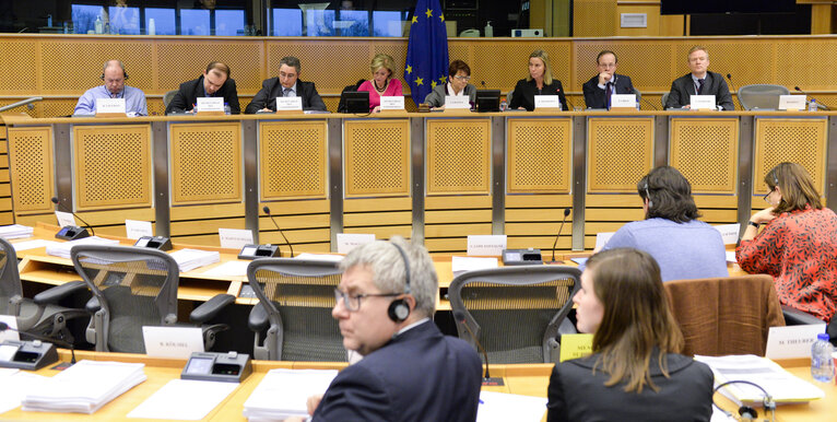 Suriet 14: BUDG committee meeting.  Discharge 2013- EU general budget - European External Action Service.  Exchange of views with , High Representative of the Union for Foreign Affairs and Security Policy and Vice-President of the EC