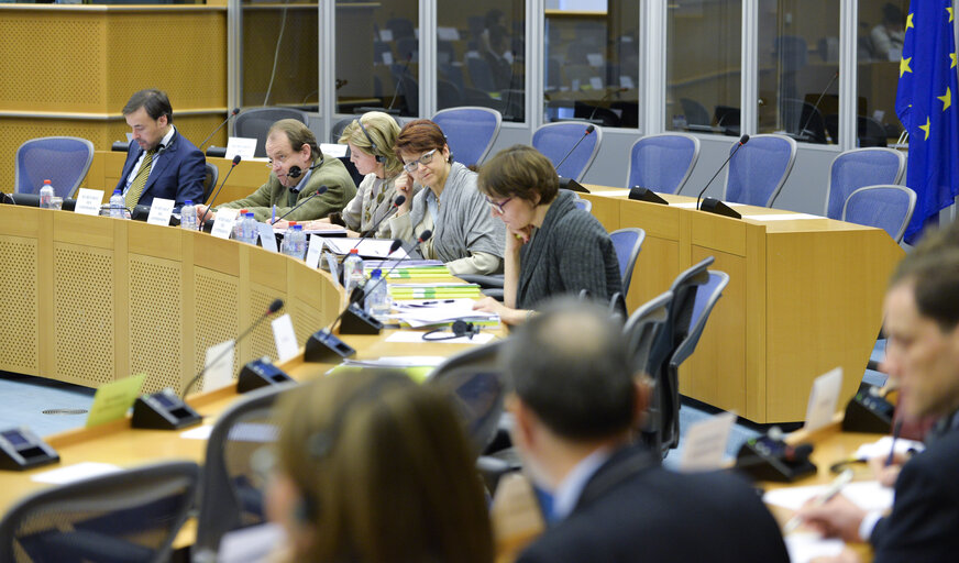 Fotografia 15: CONT Committee meeting  Discharge 2013 - Landscape Review - Gaps, overlaps and challenges: a landscape review of EU accountability and public audit arrangements