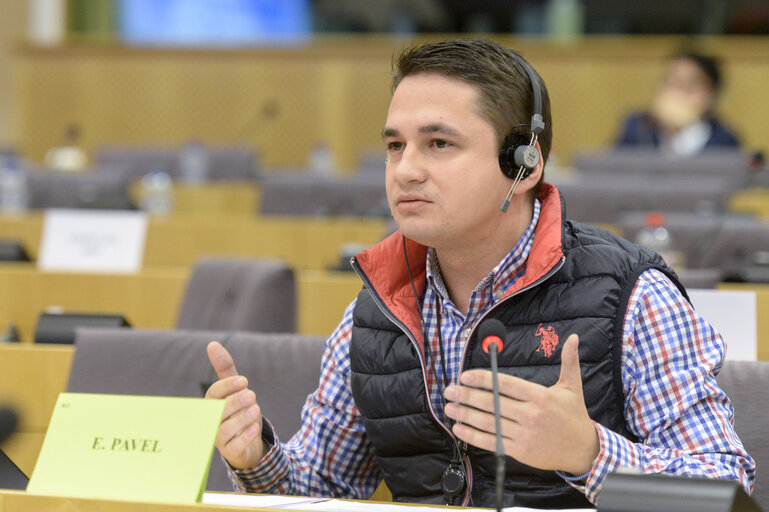 Fotografija 20: EYE hearing in LIBE Committee Meeting