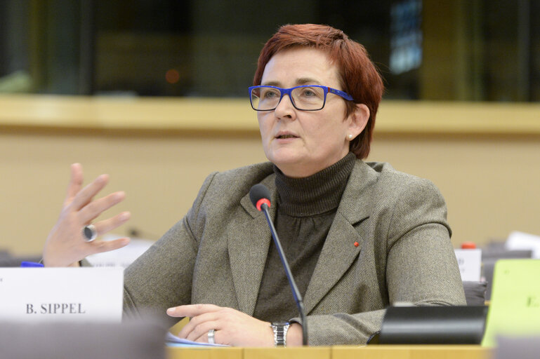 Fotografija 22: EYE hearing in LIBE Committee Meeting