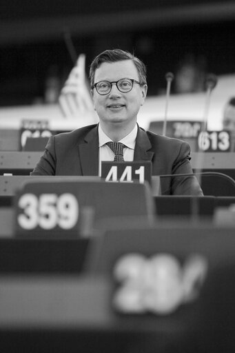 Photo 9 : Edouard FERRAND in Plenary  session week 03 2015 in Strasbourg