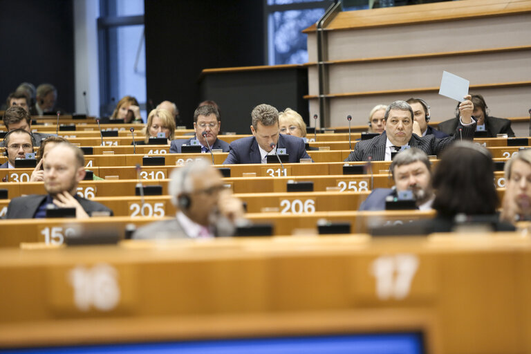 Billede 6: Plenary session week 05 2015 in Brussels - Council and Commission statements