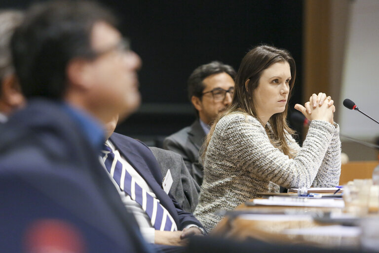 Fotogrāfija 14: Visit of the Spanish Parliament at the European Parliament in Brussels