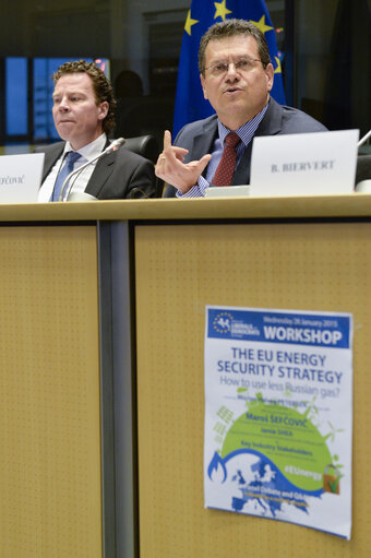 Снимка 9: The EU energy security strategy. How to use less Russian gas ?