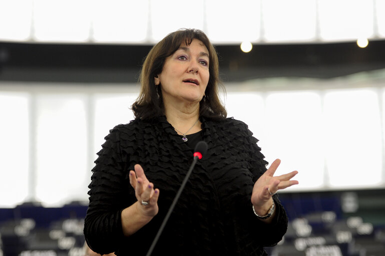 Plenary session in Strasbourg - Week 3 2015 -