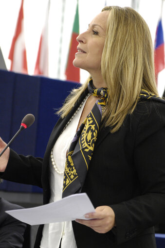 Photo 4 : Jimenez Garcia-Herrera in the hemicycle