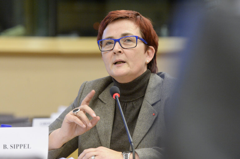 Fotografija 21: EYE hearing in LIBE Committee Meeting