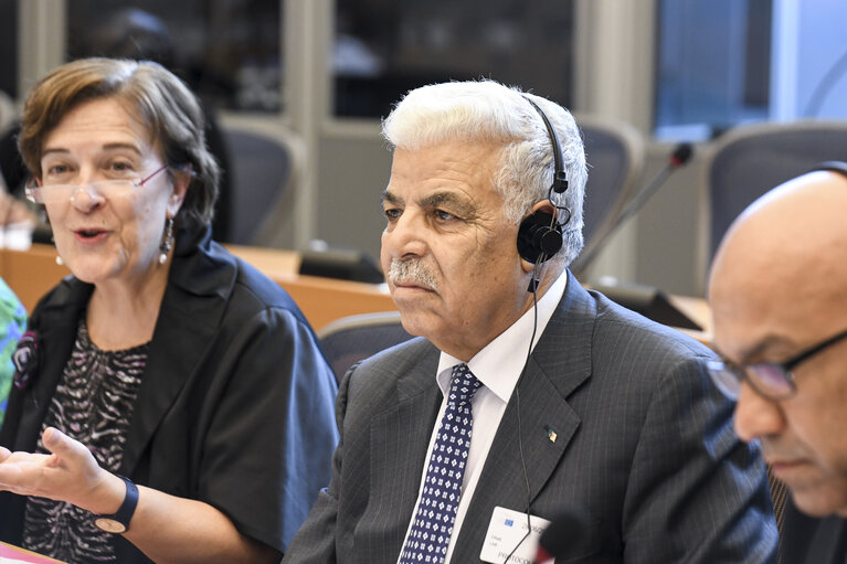 Constituent meeting of the EU-Algeria Joint Parliamentary Committee