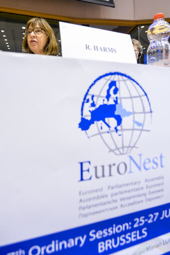 7th Ordinary Euronest Parliamentary Assembly - Opening and First Working Session of the Seventh Ordinary Session of the Euronest Parliamentary Assembly