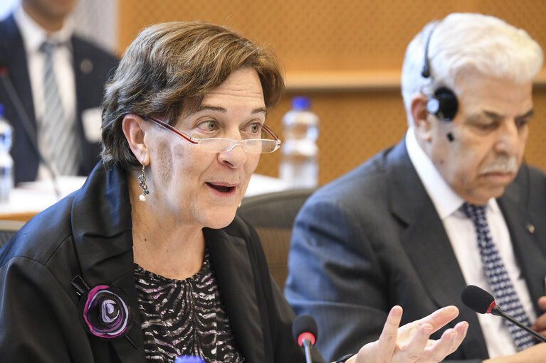 Photo 23 : Constituent meeting of the EU-Algeria Joint Parliamentary Committee