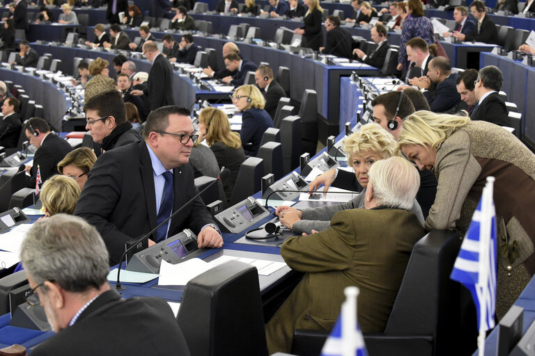 Dominique MARTIN during the Plenary session week 03 2015 in Strasbourg