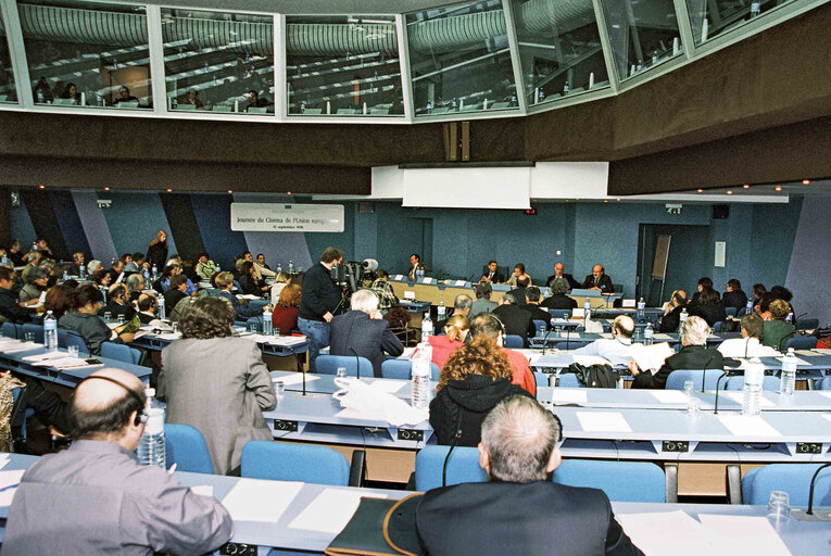 Billede 2: Seminar entitled European Union Cinema Day in conection with the European Cinema Forum being held in Strasbourg