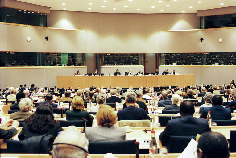 Fotografi 2: Conference: Values and norms in Central Africa. A dialogue with the EU.