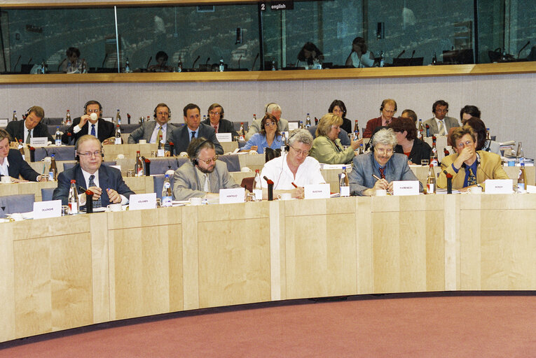 Fotografi 1: Public Hearing -  Agenda 2000: Environmental Threat or Opportunity ?