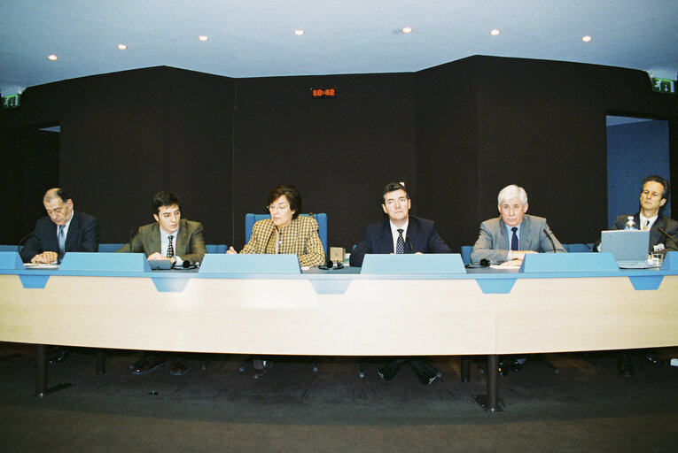 Foto 1: Meeting at the European Parliament