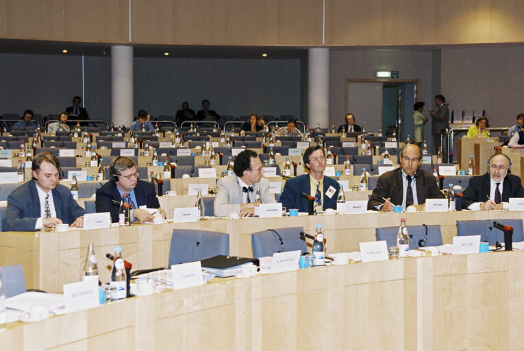 Meeting of the Committee on Economic and Monetary Affairs and Industrial Policy