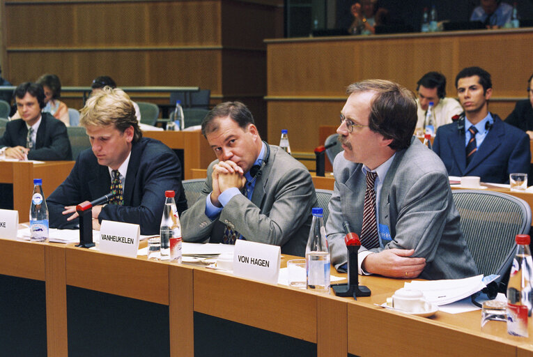 Fotografija 1: Committee on Economic and Monetary Affairs meeting on the adjustment mechanism in cases of asymmetric shocks