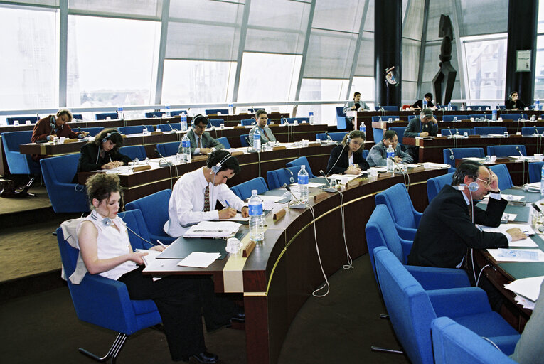 Meeting with the Commissioner for Social Affairs