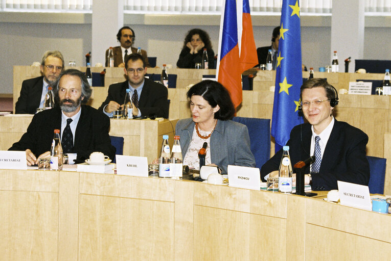 EP-Russia Interparliamentary meeting with Vice President and Chairman of the State Duma