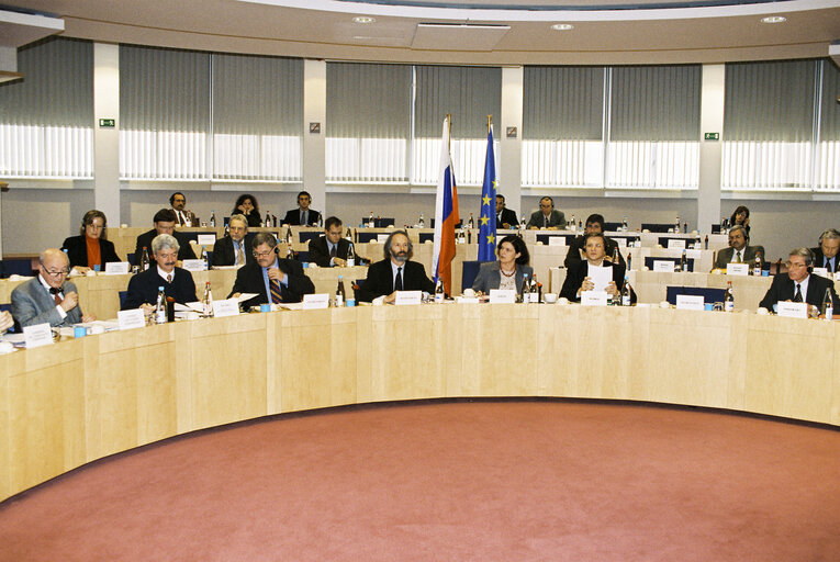 Zdjęcie 28: EP-Russia Interparliamentary meeting with Vice President and Chairman of the State Duma