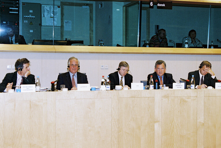 Meeting of the Committee on Economic and Monetary Affairs and Industrial Policy