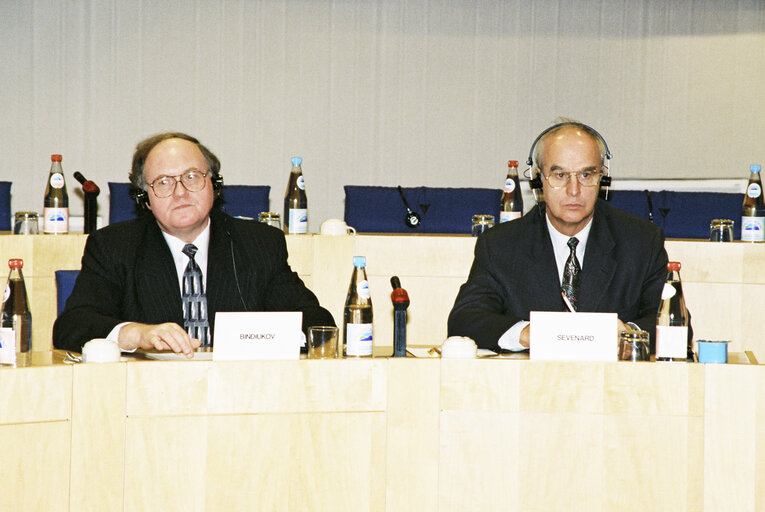 Photo 26: EP-Russia Interparliamentary meeting with Vice President and Chairman of the State Duma