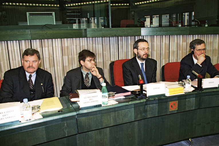 Fotografia 3: Meeting at the European Parliament in Strasbourg