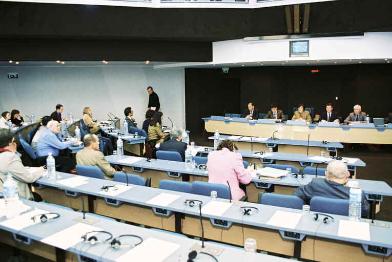 Meeting at the European Parliament