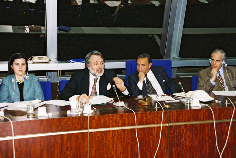 Fotografie 18: Meeting at the European Parliament