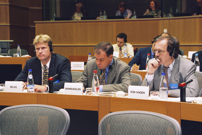 Foto 2: Committee on Economic and Monetary Affairs meeting on the adjustment mechanism in cases of asymmetric shocks