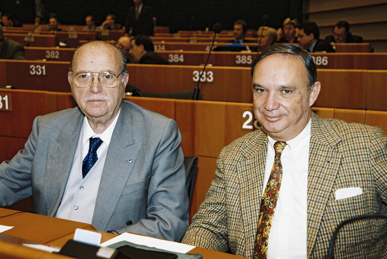 Gerardo FERNANDEZ ALBOR, Fernando FERNANDEZ MARTIN in Plenary session at Brussels